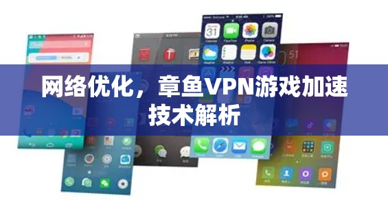 网络优化，章鱼VPN游戏加速技术解析