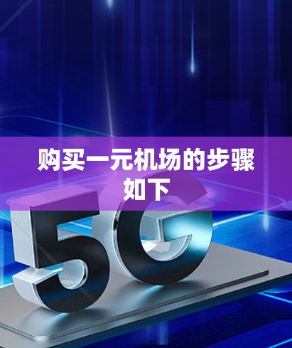 购买一元机场的步骤如下