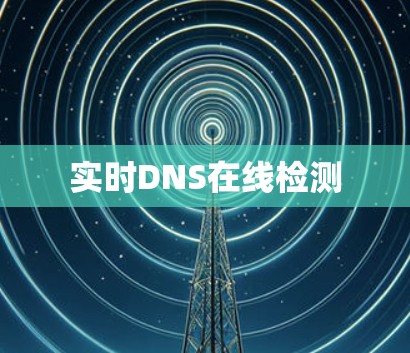 实时DNS在线检测