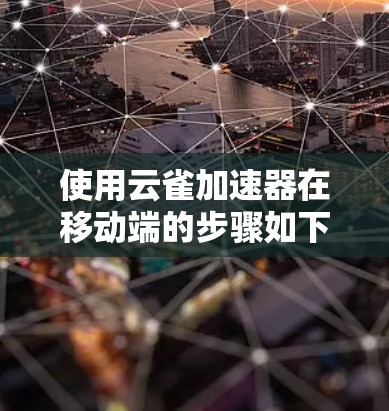 使用云雀加速器在移动端的步骤如下