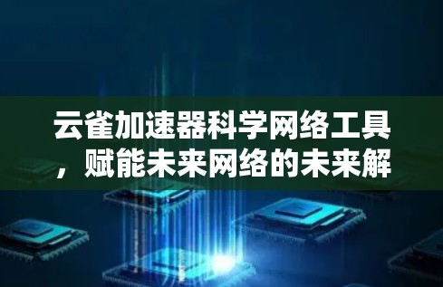 云雀加速器科学网络工具，赋能未来网络的未来解决方案