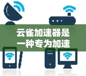云雀加速器是一种专为加速特定硬件而设计的工具，广泛应用于提高硬件性能。以下是对云雀加速器的详细介绍