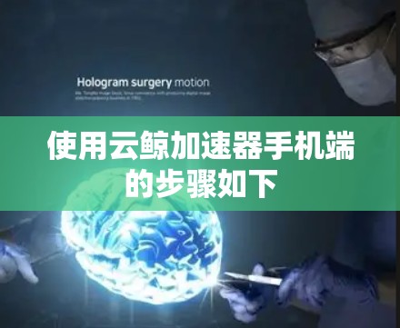 使用云鲸加速器手机端的步骤如下