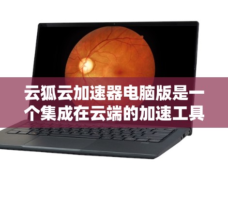 云狐云加速器电脑版是一个集成在云端的加速工具，专为电脑用户设计，旨在提升电脑性能，处理复杂任务。以下是对该工具的详细介绍