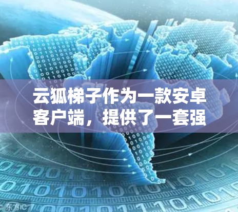 云狐梯子作为一款安卓客户端，提供了一套强大的视频通话和视频会议功能，适合需要视频通话和团队协作的用户使用。以下是对其的详细介绍