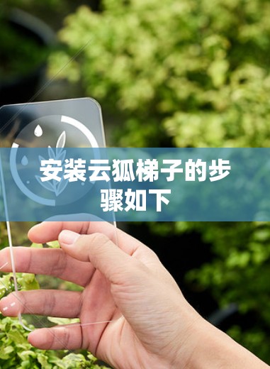安装云狐梯子的步骤如下