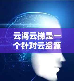 云海云梯是一个针对云资源展示和访问的平台，适合企业内外部使用。以下是对云海云梯的详细介绍