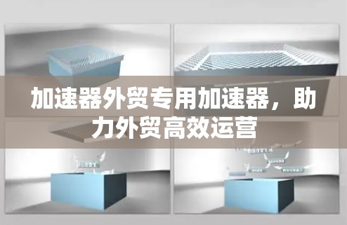 加速器外贸专用加速器，助力外贸高效运营