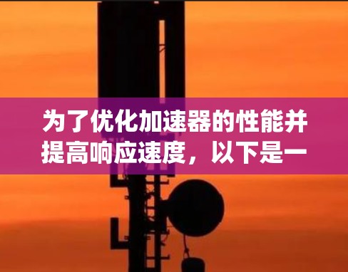 为了优化加速器的性能并提高响应速度，以下是一个有条理的步骤指南，涵盖使用Bash、Python、R和C+等工具以及加速器内存管理的理论知识