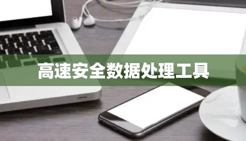 高速安全数据处理工具