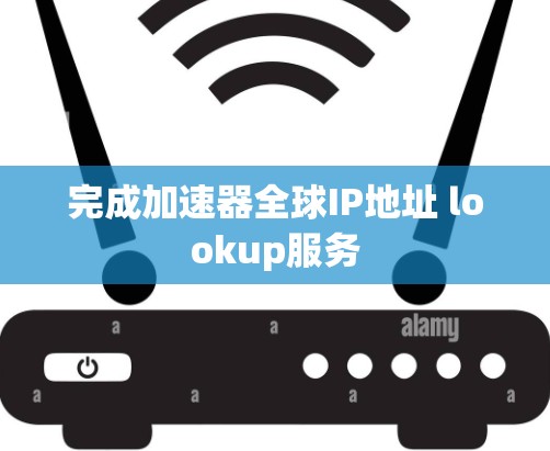 完成加速器全球IP地址 lookup服务