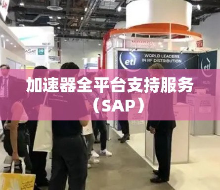 加速器全平台支持服务（SAP）