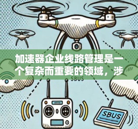 加速器企业线路管理是一个复杂而重要的领域，涉及多个方面，包括运营优化、基础设施规划、技术应用以及国际合作。以下是对该领域的总结和分析