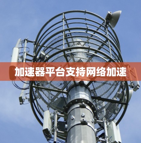 加速器平台支持网络加速
