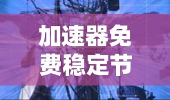 加速器免费稳定节点是指一种提供快速运行稳定服务器的工具包，通常用于在特定服务器上优化和加速代码运行。以下是对此概念的详细分析